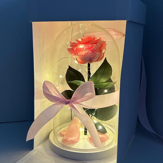 Живая роза в колбе Premium розовая в подарочной коробке с подсветкой