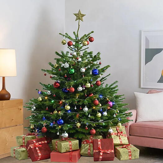 6 Ft Fresh Christmas Tree with Decorations