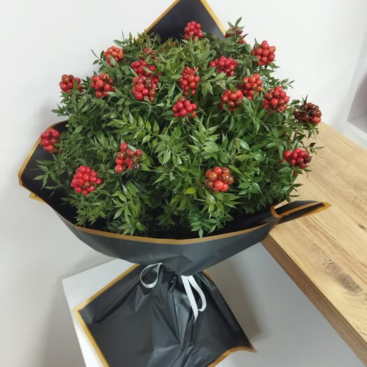 Kokina Christmas Flower / Kokina Yılbaşı Çiçeği