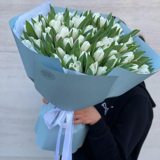 51 белый тюльпан