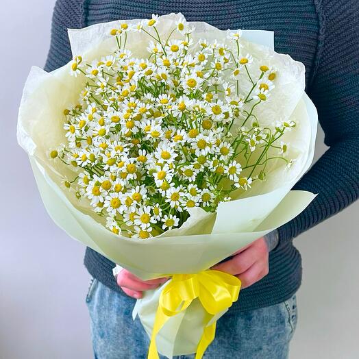 Букет с ромашками 17шт