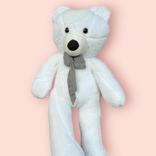 White Teddy Bear