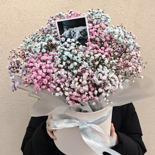 Гипсофилы в коробке