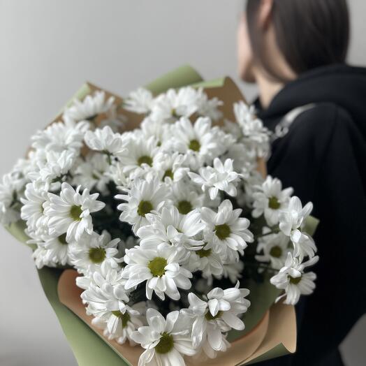 Кустовые хризантемы