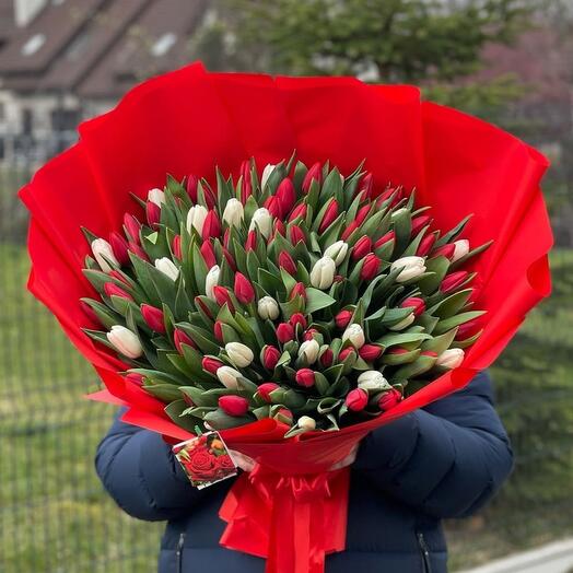 Mazzo di 100 tulipani