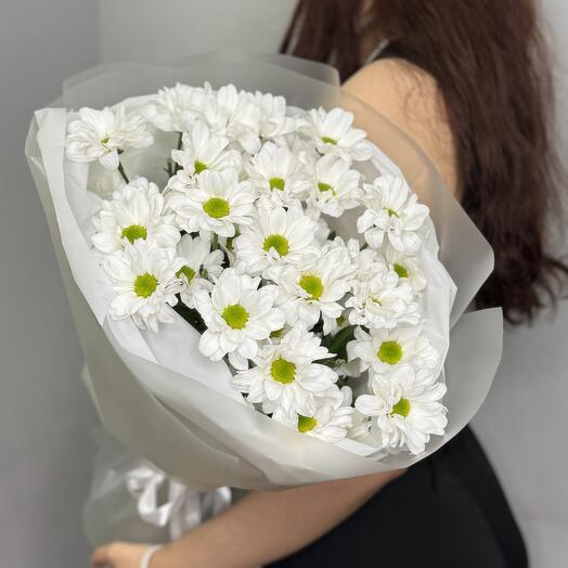 Нежный букет кустовых хризантем (хризантема, как ромашка)