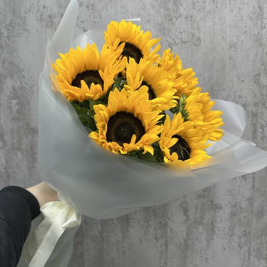 Подсолнух 🌻