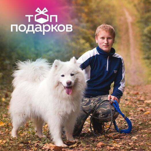Подарочный сертификат Дог-трекинг, прогулка с собакой по лесу, 1 чел. (1 час) (Московская область)