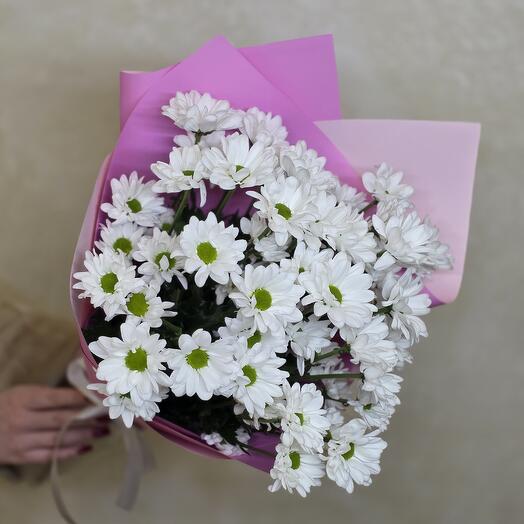 Chamomile chrysanthemums 5 pieces