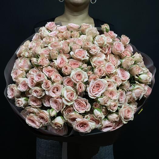 Bush roses