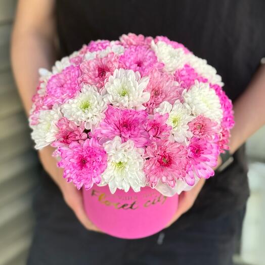 Composición Rosa de crisantemos esponjosos