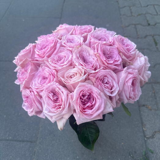 Пинк Охара 21