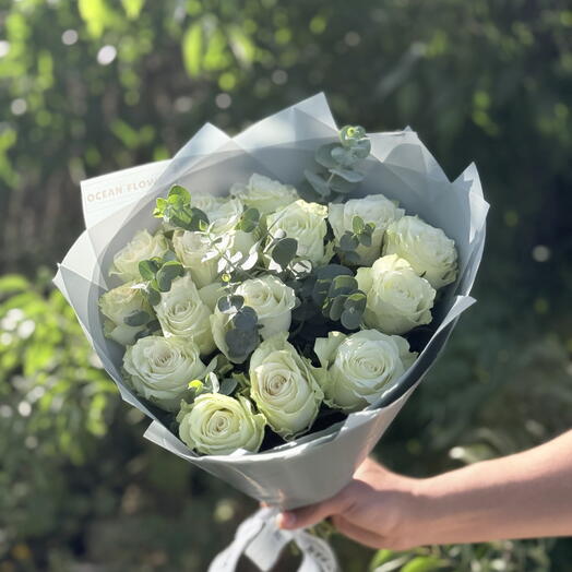 17 White Rose