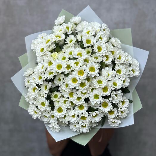 Букет из 15 кустовых Сантини ромашек белого цвета. Полевые цветы 🌸на День рождение 🌸💕