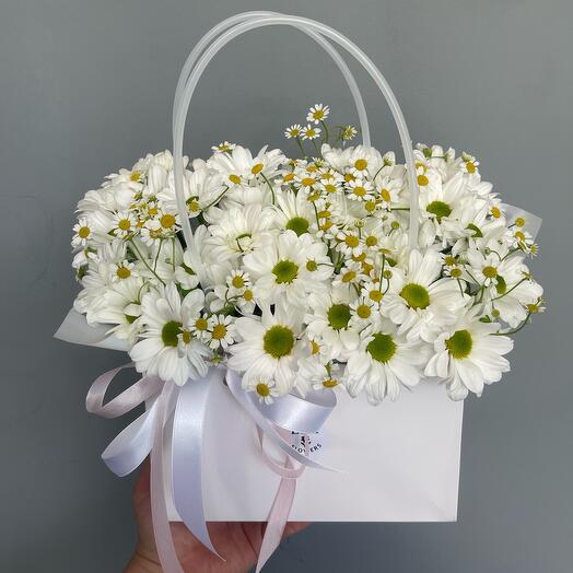 Daisies in a handbag