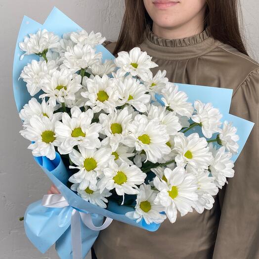 Букет из 5 кустовых хризантем(ромашек) ББ