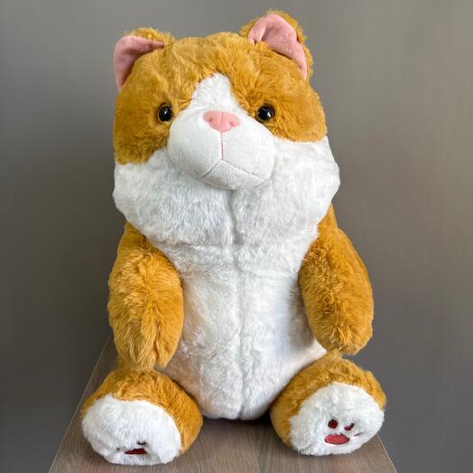 Кот сидит 40 см