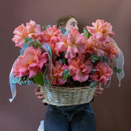 Корзина с цветами, французские розы в корзине с эвкалиптом