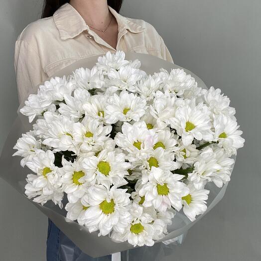 Хризантемы