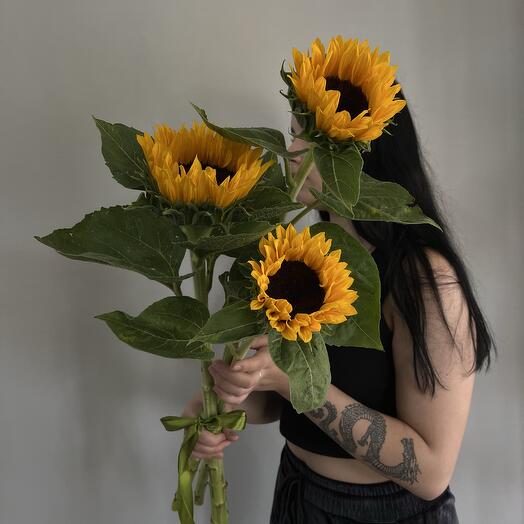 Подсолнух 🌻