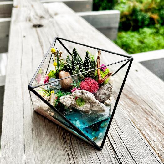 Флорариум с суккулентами. Необычный подарок