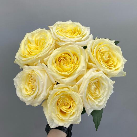 7 роз Канделайт под ленту