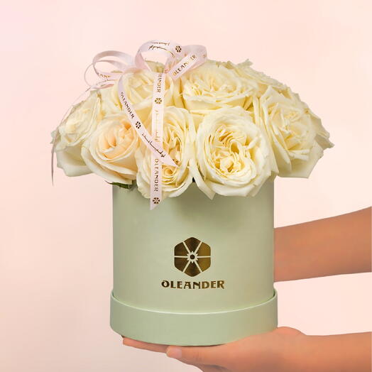 WHITE OHARA BOX COUTOUE