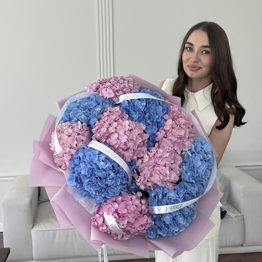 Гортензий 11