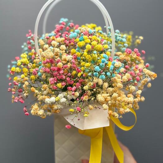 Гипсофила радужная в сумке