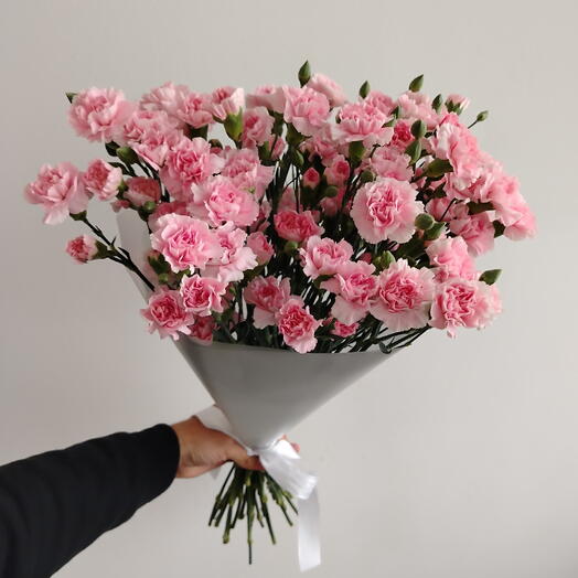 29 кустовых гвоздик