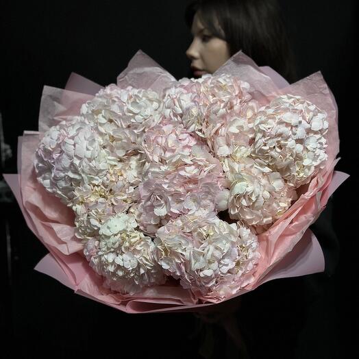 Cotton Candy из розовых гортензий