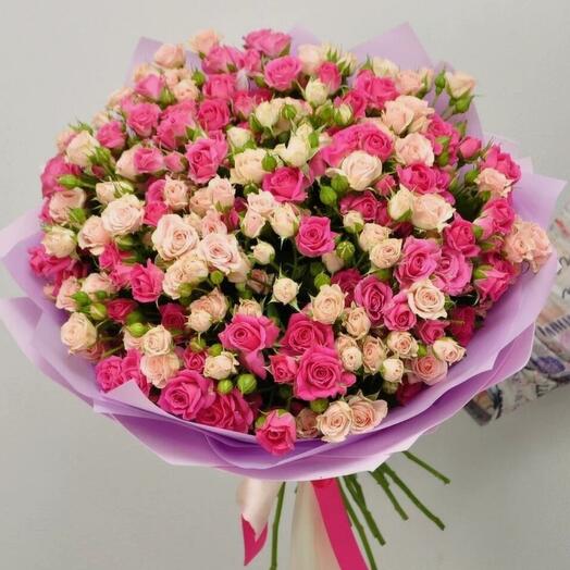 Куставой роза кеня