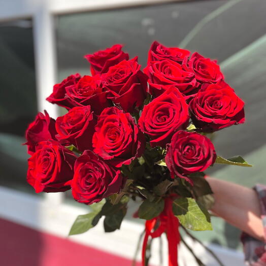 Моно из 15 Красных Роз под ленту