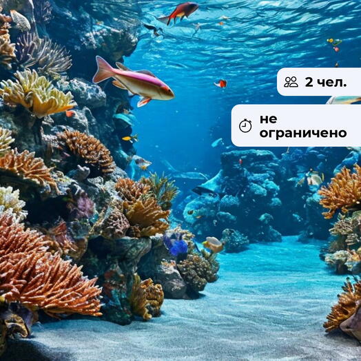 Загадки морских глубин. Посещение океанариума
