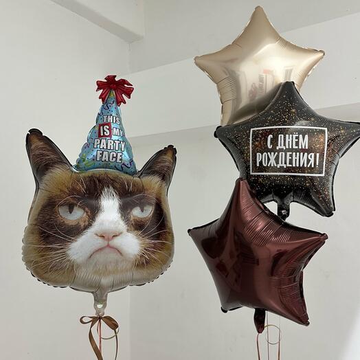 Шарики с грустным котом на день рождения