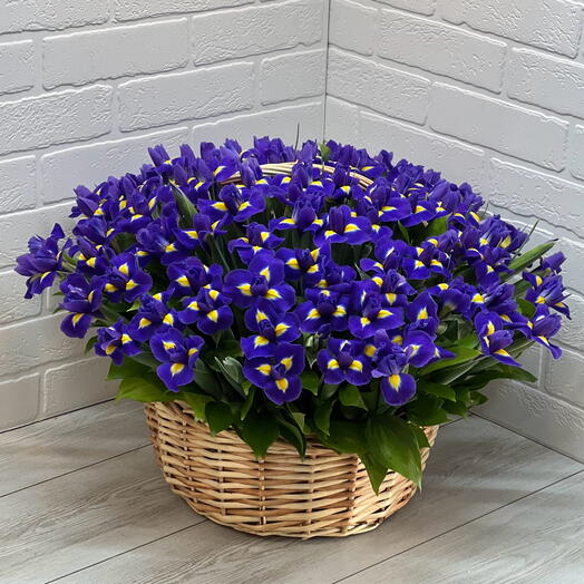 Цвет настроения синий 💙