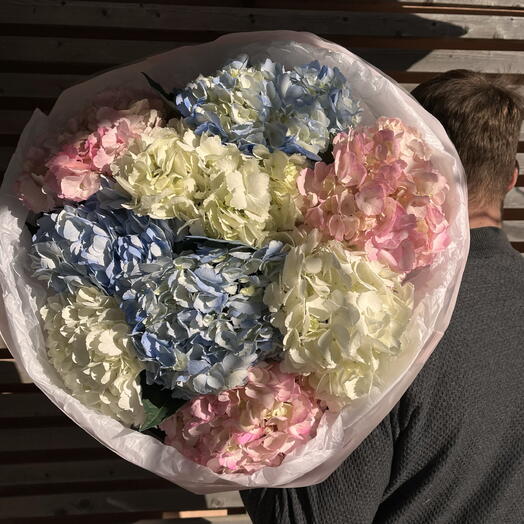 Гортензия в премиум букет с WOW эффектом (ВБ9)