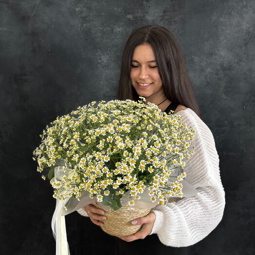Полевая корзинка из ромашек