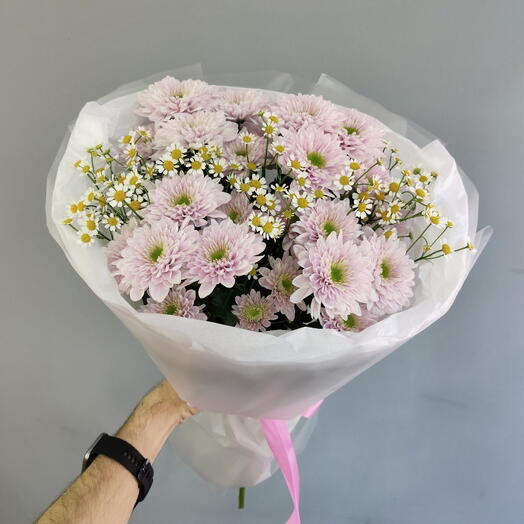 Нежно-розовые кустовые хризантемы Коммандер Пинк с ромашкой (Матрикарией)
