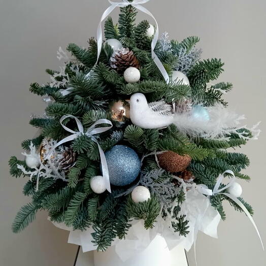 Композиция из Нобилиса