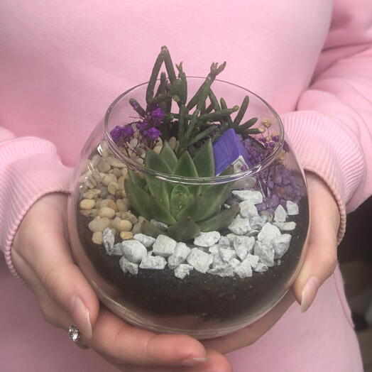 Флорариум мини яркий подарок с суккулентами и домиком