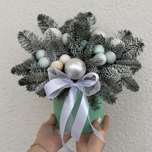 Рождественская композиция из Нобилиса🎄