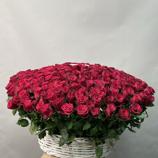 Корзина из 301 штук кенийских роз