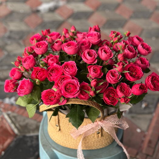 Трендовая спрей раз в кашпо