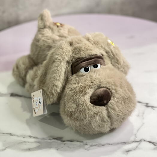Собачка