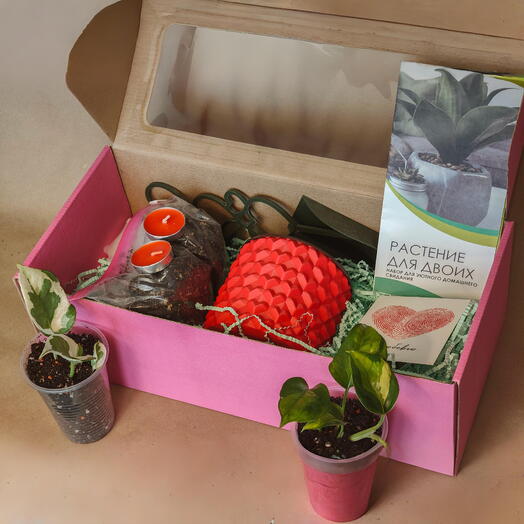 Романтический набор для свидания дома с посадкой растений