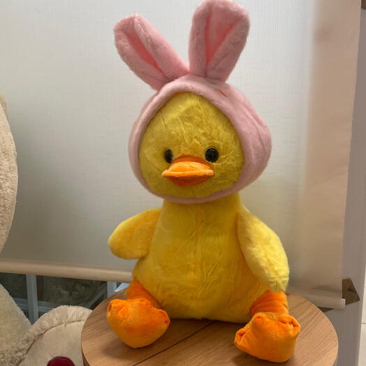 Утка «Кряша»