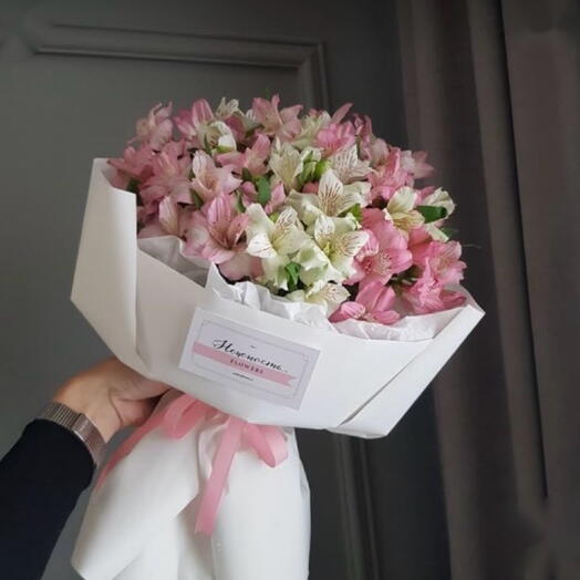 Нежная альстромерия