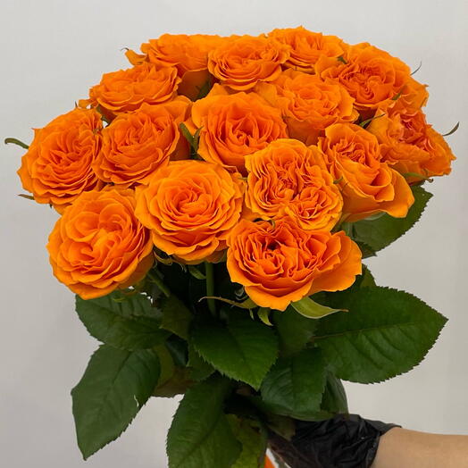 Хит😍😍😍🔝Роза Белинда🍊15 роз