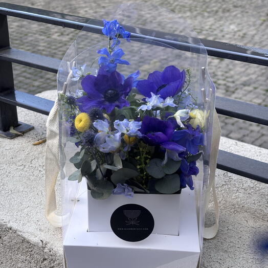 Midnight Garden (transparent bag)